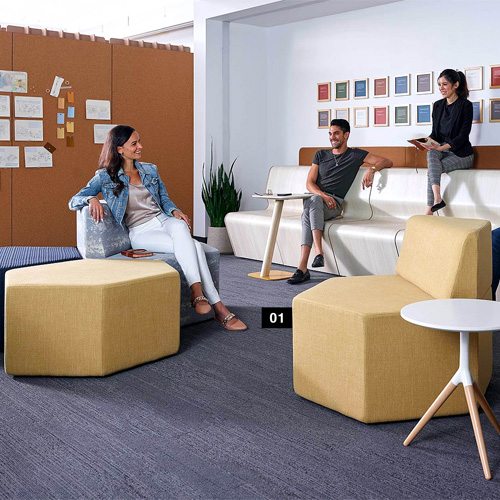 Professional Training